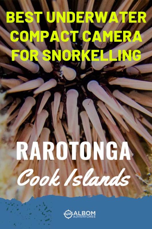 Rarotonga Snorkelling Captured on the Olympus TG-6 23 A Olympus TG-5 compact underwater camera photo of a sea urchin in Rarotonga Cook Islands