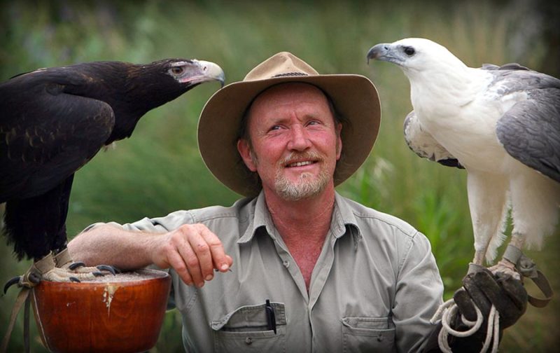Things to Do in Kangaroo Island 18 Handler with two birds of prey at Raptor Domain on Kangaroo Island