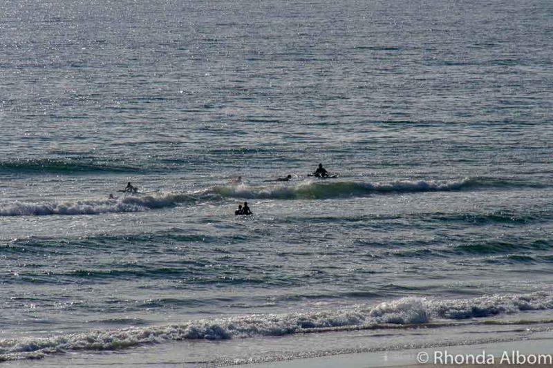 Papamoa Beach Resort: Beachfront Stay in Bay of Plenty, NZ 18 People swimming and splashing in the surf at a beach on the east coast of New Zealand's North Island