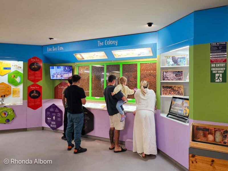 Arataki Honey Centre