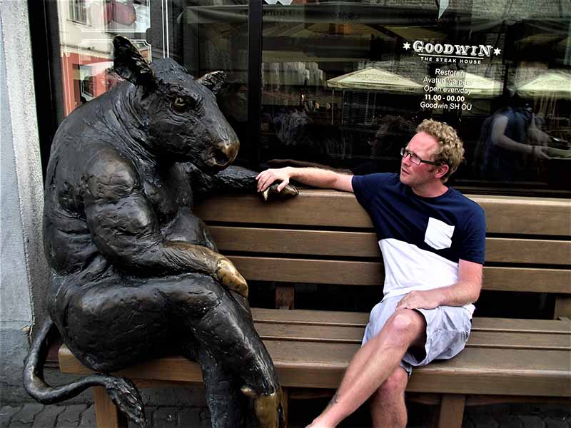 Black Angus statue of quirky life size bull sitting on a bench in Tallinn Estonia