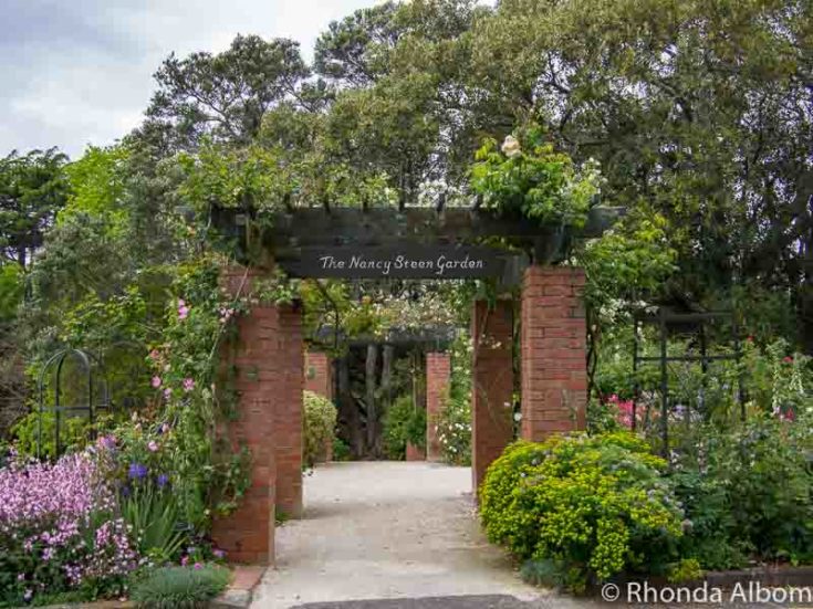 See Parnell Rose Gardens in Bloom in Auckland New Zealand