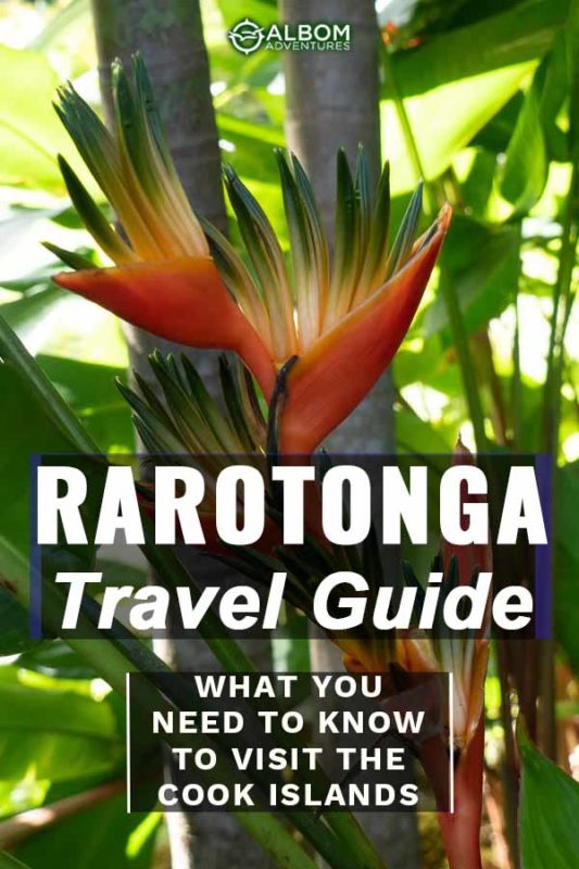 Rarotonga Travel Guide: What You Need to Know Before You Visit 19 A Bird of Paradise flower seen at the Maire Nui Gardens on Rarotonga Cook Islands