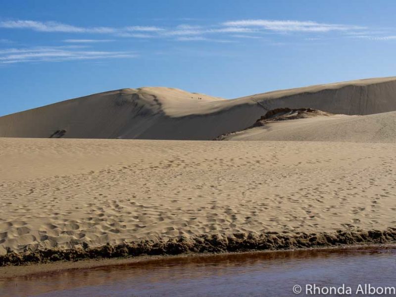 Sandboarding at Te Paki Sand Dunes, New Zealand 11 Stream at the main Cape Reinga Sandboarding area.