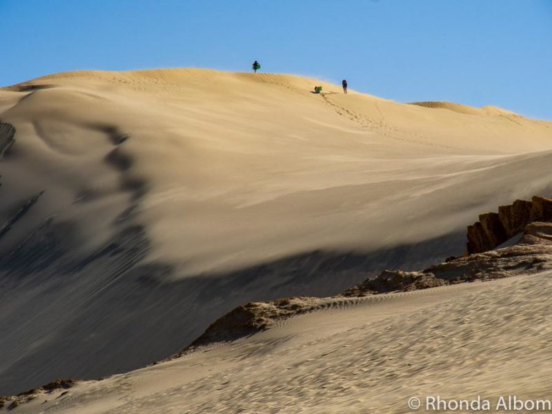 Sandboarding at Te Paki Sand Dunes, New Zealand 9 Three girls walking up the sand dunes as the wind blows