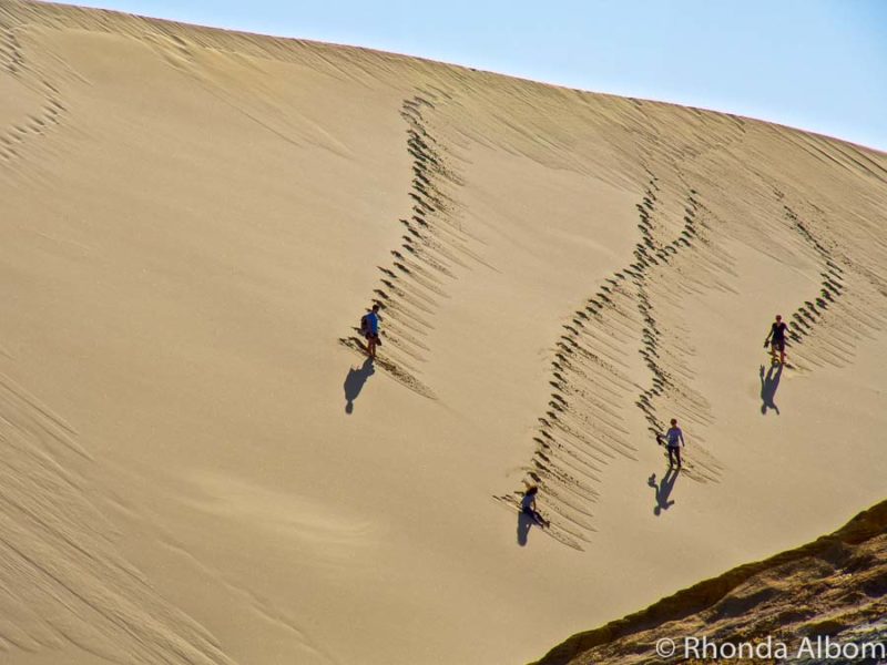 Sandboarding at Te Paki Sand Dunes, New Zealand 8 People walking rather than sandboarding on a giant Sand Dunes and making interesting patterns in the sand in New Zealand