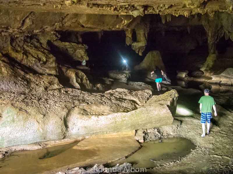 Waipu Caves, Glow Worms and Other Things to Do in Waipu New Zealand