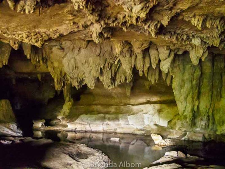 Waipu Cave 2015209