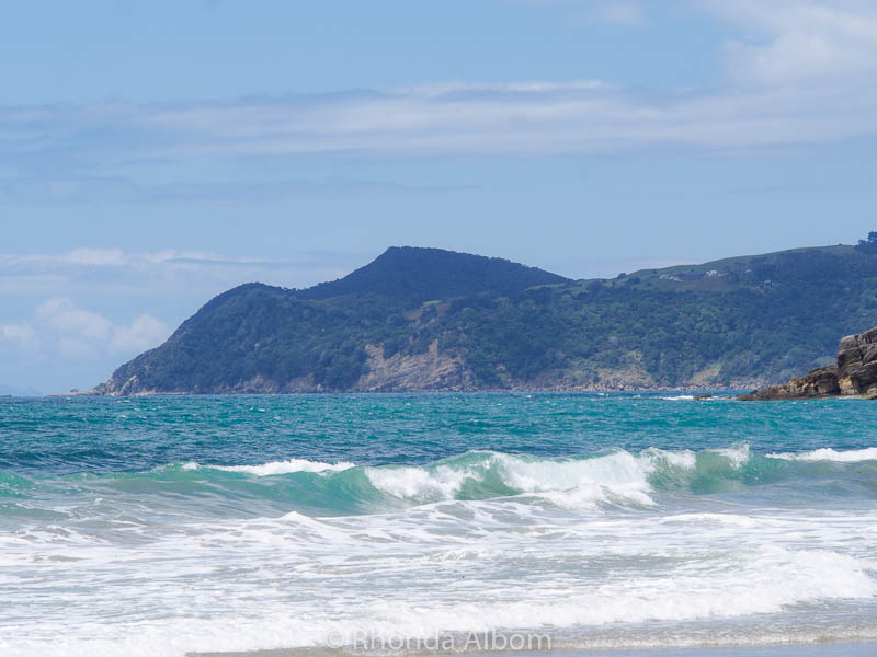 Waipu Caves, Glow Worms and Other Things to Do in Waipu New Zealand 10 Waipu Cove surf in New Zealand