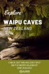 A view of Waipu Caves New Zealand from the entrance area