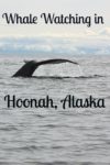 Whale Watching in Hoonah, Alaska