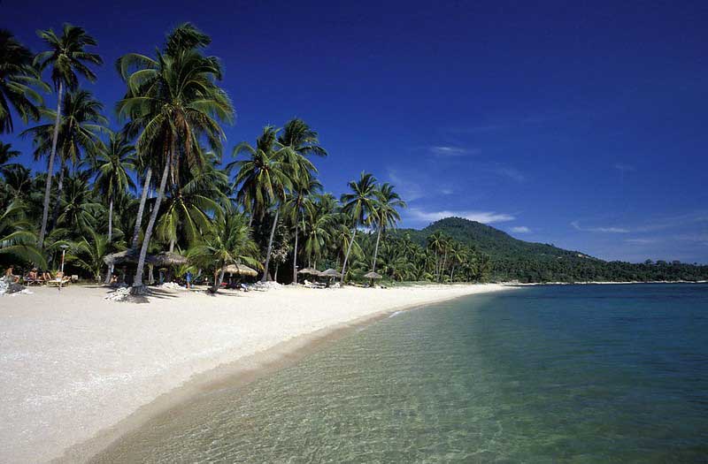 Palm trees and white sand of Chaweng Beach on the island of Koh Samui