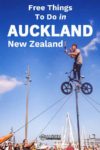 An acrobatic cyclist on a pole at a Busker's festival, one of the free things to do in Auckland New Zealand