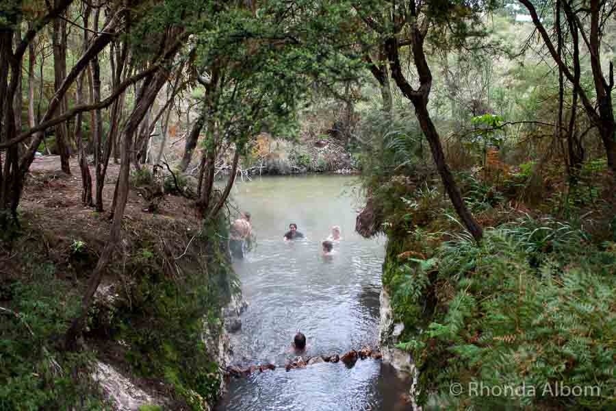 Hot & Cold Pools near Wai-O-Tapu Thermal Wonderland in Rotorua, New Zealand