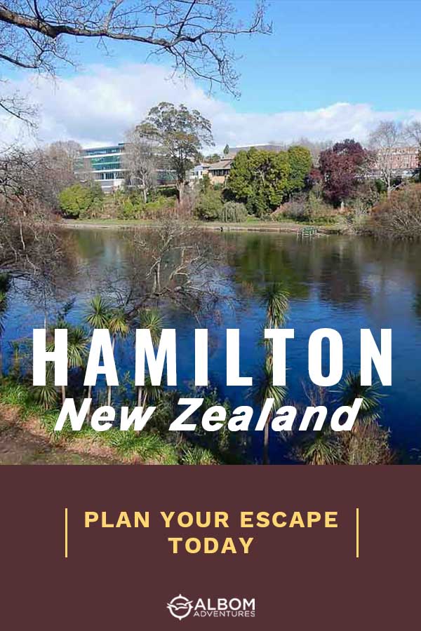 sta travel hamilton nz