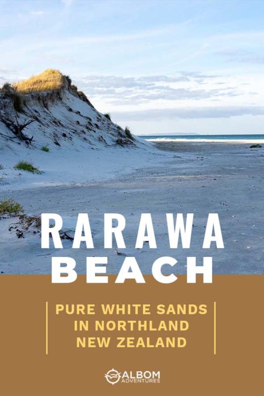 Rarawa Beach - Weird Squeaky White Silica Sand 8 View of white sand dunes, beach and Pacific ocean from Rarawa Beach, Northland New Zealand
