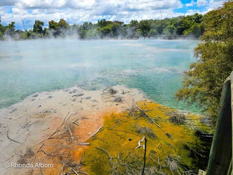 View of the colourful geothermal activity in Kuirau Park