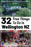32 Free Things to do in Wellington NZ