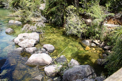 Queenstown to Nelson Road Trip Along the Stunning West Coast 34 Creek in Abel Tasman National Park, New Zealand