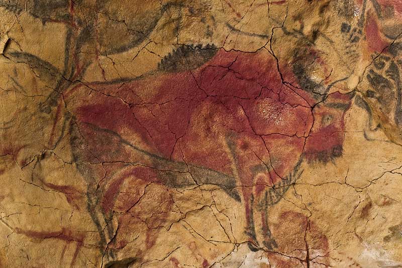We Saw 40 000 Year Old Cave Drawings In Northern Spain