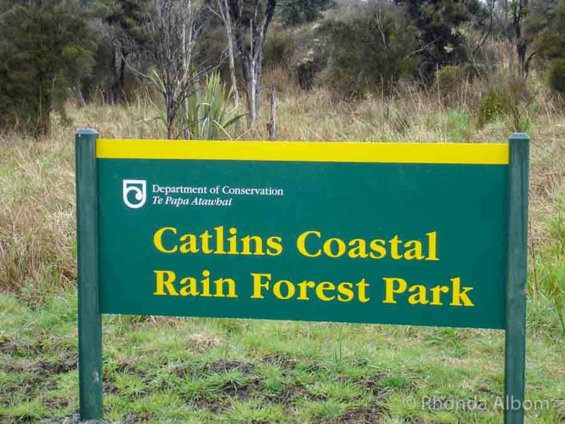 Discover the Catlins: A New Zealand Rainforest Along the Southern Coast 17 Catlins Coastal Rain Forest Park sign