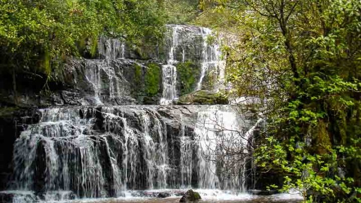 Catlins waterfall SL Catlins 031 16607 copy