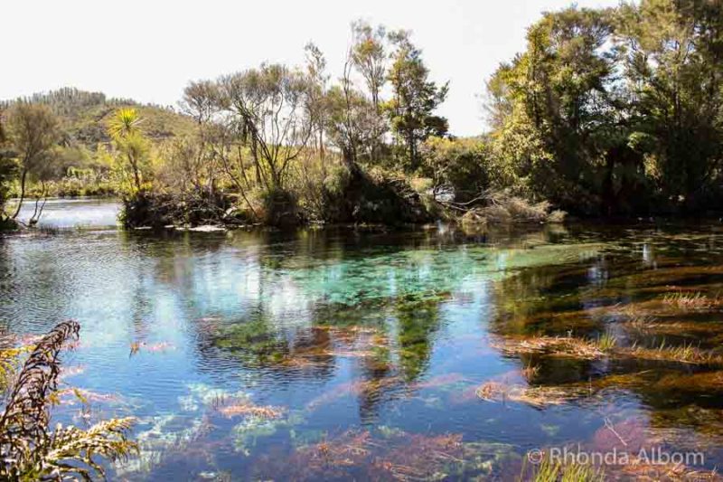 20 Most Beautiful Places in New Zealand to Inspire You 10 Te Waikoroupu Springs in Abel Tasman National Park is home to the clearest freshwater in the world