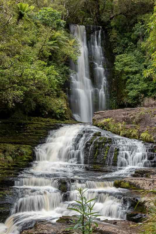 Discover the Catlins: A New Zealand Rainforest Along the Southern Coast 8 McLean Falls, in the Catlins, New Zealand