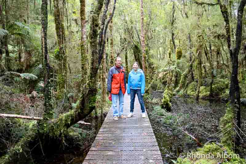 Ship Creek New Zealand: Swamp Forest and Dunes on the West Coast 2 Walking on a boardwalk through a swamp forest in NZ