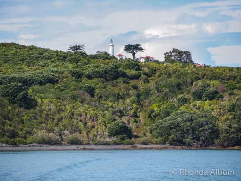 Explore the Islands of the Hauraki Gulf - Auckland NZ 7 Tiritiri Matangi lighthouse seen as we sail away from the island
