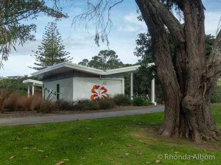 Orewa Beach See Why This Local's Paradise is an Auckland Getaway