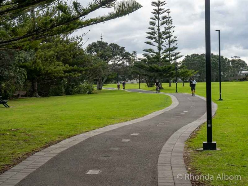 Orewa Beach: See Why This Local's Paradise is an Auckland Getaway 9 A section of the estuary walkway