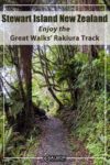 A view of the Stewart Island New Zealand Rakiura track, a New Zealand Great Walk