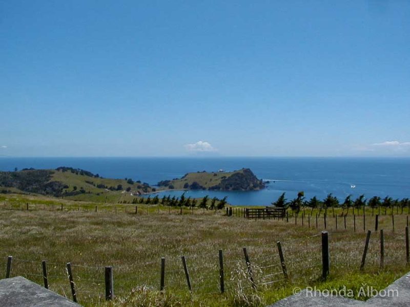 Overlooking Man O'War Bay and Stony Waiheke Island