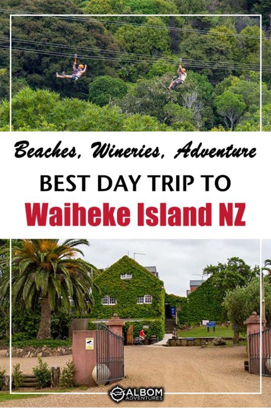 Waiheke Island Day Trip: Vineyards, Beaches, or Challenge 24 Vines growing on a vineyard building and a zipline on Waiheke Island, New Zealand