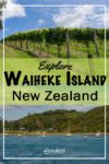 Grape vines growing at a vineyard and a beach on Waiheke Island, New Zealand
