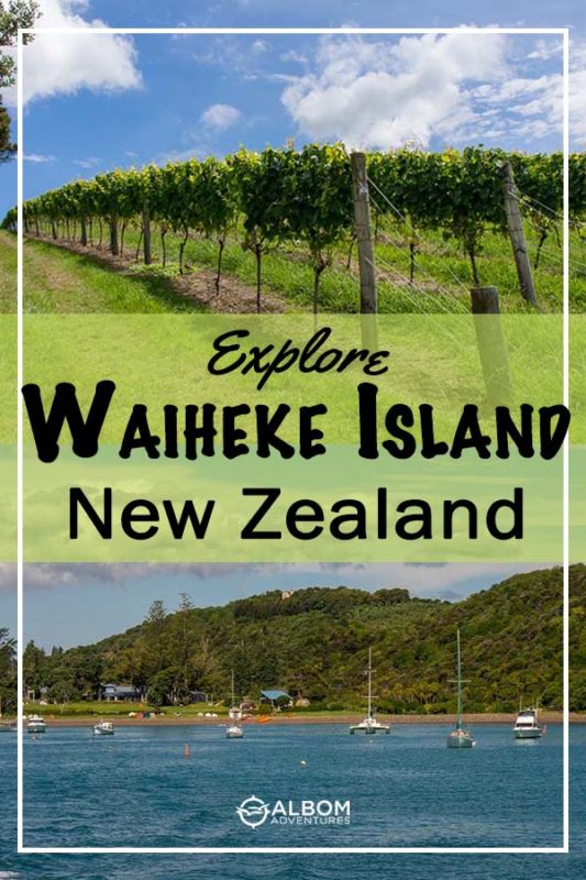 Grape vines growing at a vineyard and a beach on Waiheke Island, New Zealand