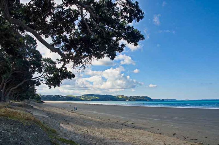 Orewa Beach See Why This Local's Paradise is an Auckland Getaway