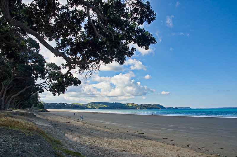 Expansive view of tree lined Orewa Beach with sand leading to the sea