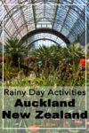 Indoor things to do in Auckland on a rainy day