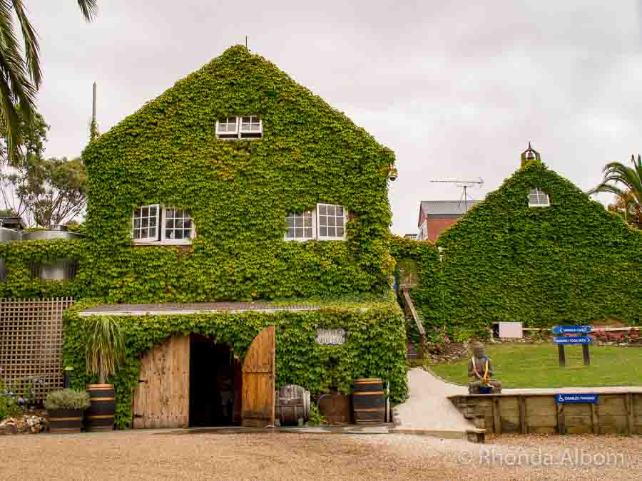 9 Best Waiheke Wineries for a Fun Day Out