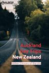 A road leading to some of the best Auckland day trips in New Zealand