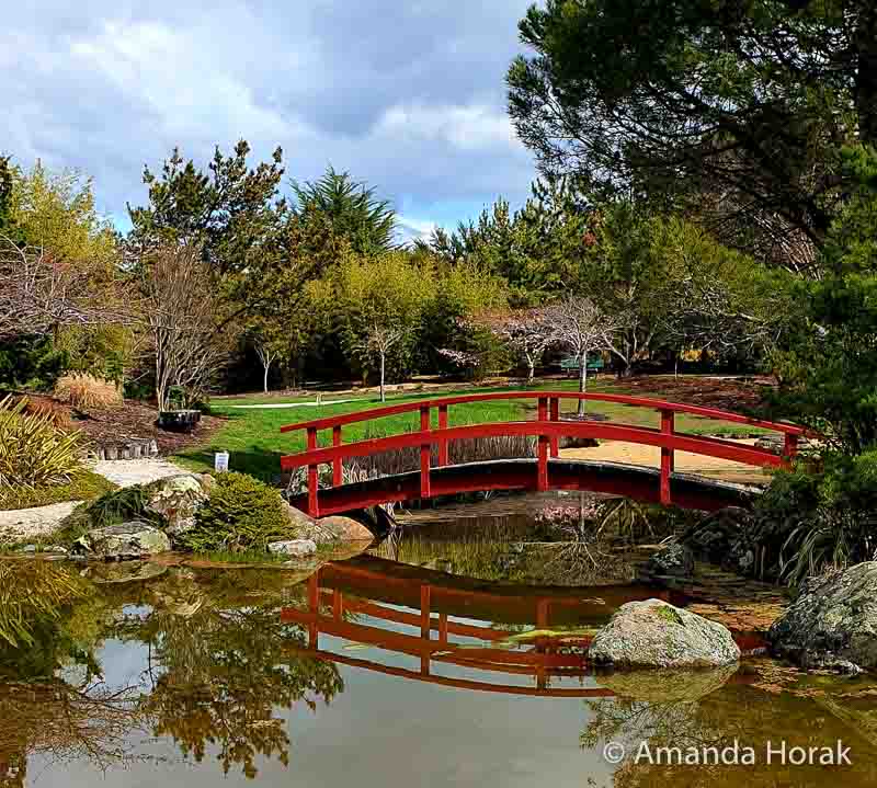 Things to Do in Nelson: Geographical Centre of New Zealand 7 Miyazu Japanese Garden, one of the cool things to do in Nelson