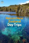 Sunny Nelson NZ is a great place to base yourself for day trips to places like this fresh water spring