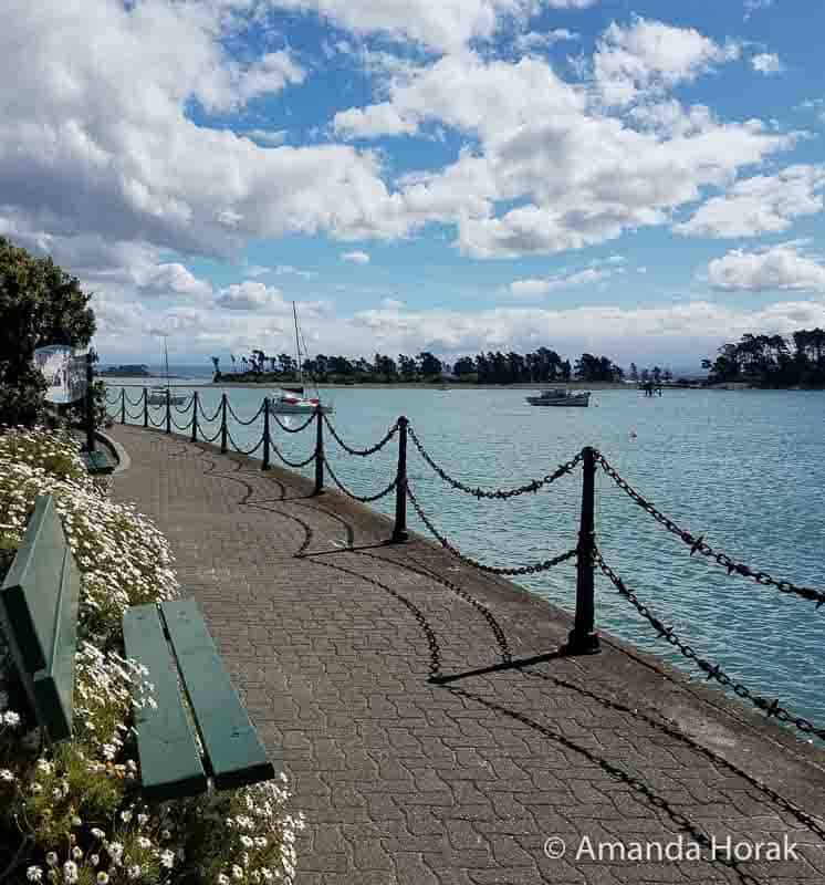 Waterfront walkway in sunny Nelson New Zealand