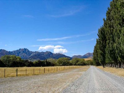 A dirt road leading to the mountain as part of several New Zealand road trips