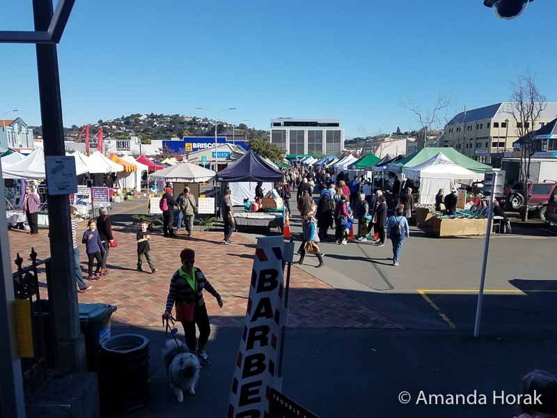 Things to Do in Nelson: Geographical Centre of New Zealand 8 Saturday Morning Market one of the things to do in Nelson