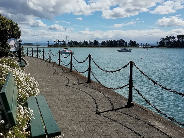 Waterfront walkway in sunny Nelson New Zealand
