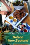 Eating green shell mussels is one of many things to do in Nelson New Zealand