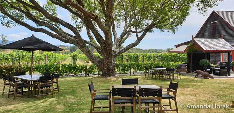 Things to Do in Nelson: Geographical Centre of New Zealand 4 Outdoor table seating at Neudorf Vineyards Cellar Door, one of the things to do in Nelson New Zealand
